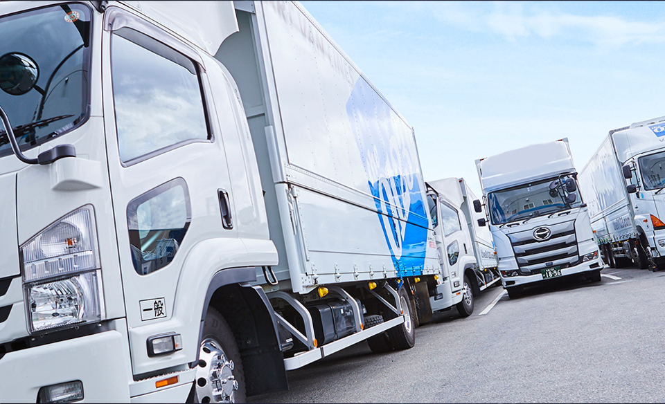 深圳網(wǎng)站建設案例-捷盈通運輸